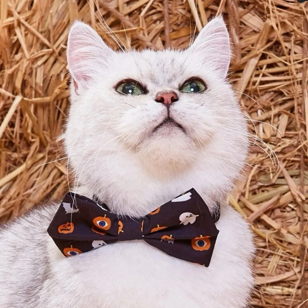 NWT Halloween Bow Tie